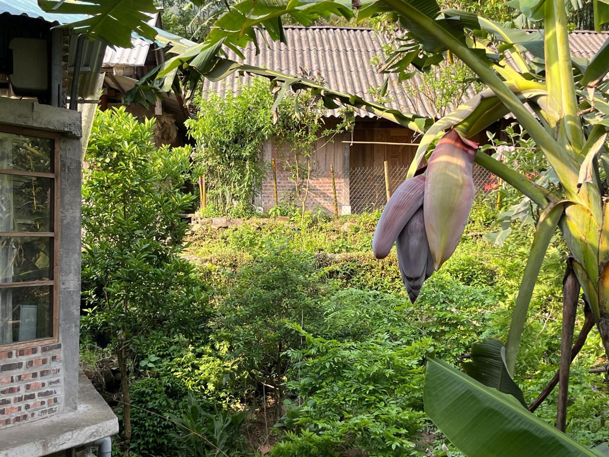 Ya'S House Apartment ซาปา ภายนอก รูปภาพ
